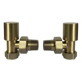 Product cut out image of the Radox Circulus Brushed Brass Angled Valves